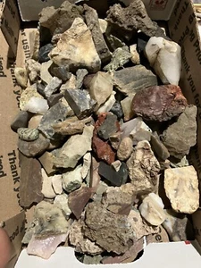 ROCK, MINERAL, CRYSTAL, TUMBLER MIX, STONE, & MORE ESTATE COLLECTION LOT - Picture 1 of 10