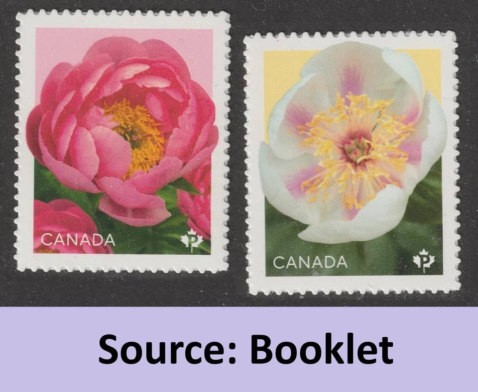 Canada 3488-3489 Peonies P single set 2 (from booklet) MNH 2025 - Image 1 of 1