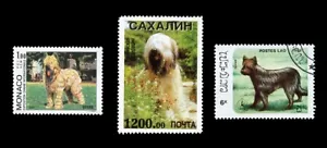 More details for briard french berger de brie dog international postage stamps collection x 3