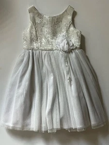Sweet Heart Rose Elegant Flower Girl Party Dress White Silver Gray Size 4T - Picture 1 of 10