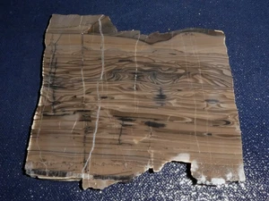 Jaspe Coffee Rock - 3 7/8" x 3 1/2" -áspero para cableado-pantalla, ciencia - Imagen 1 de 3