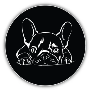French Bulldog Silhouette Car Bumper Sticker Decal - ''SIZES'' - Picture 1 of 1