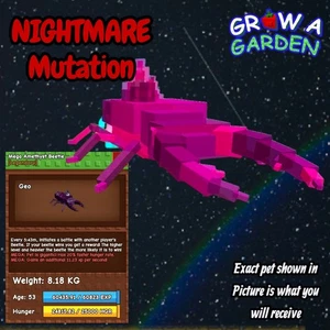 NIGHTMARE Amethyst Beetle. Age/Weight Shown In Photo. Grow A Garden - Picture 1 of 1