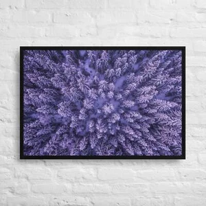 Drone shot of a snowy evergreen forest in Menkerud 36x24- Framed Canvas Print - Picture 1 of 1