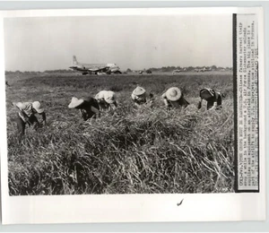 Foto de prensa Globemaster de la Fuerza Aérea de los Estados Unidos cerca de los agricultores chinos Formosa Taiwán 1955 - Imagen 1 de 2