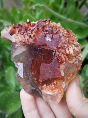 Muestra mineral de cristal de fluorita natural 373 g con recubrimiento de óxido de hierro rojo profundo Foto 1 de 4