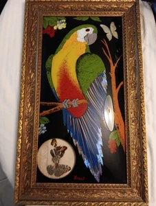 Brasilien Gemälde Papagei mit Schmetterling Intarsien schöner Rahmen Top Zustand... - Bild 1 von 8