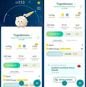 Brillante Togedemaru XXL | registrado 20 k de polvo de estrellas | Tr-de Go ✨ - Imagen 1 de 2