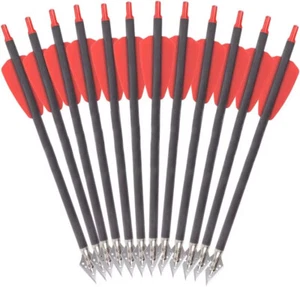 12pc Crossbow Bolt 8.9 in Carbon Arrows Hunting Ek Cobra System With Broadheads - Picture 1 of 5
