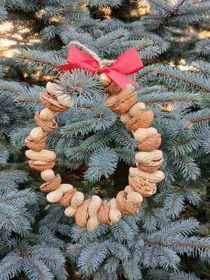 Vogel Eichhörnchen Futterkranz  Erdnüsse & Walnüsse - Bild 1 von 2