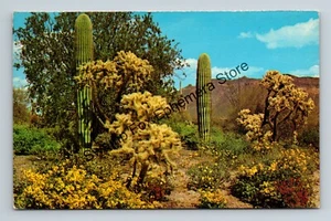 Postkarte Wenn der Frühling bunte Berührung den Wüstenkaktus erhellt - Bild 1 von 2