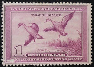 U.S. Mint Stamp Scott #RW5 $1 Federal Duck Hunting. F - VF Appearing (faults). - Picture 1 of 2