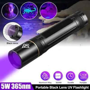 Linterna LED UV Antorcha 360NM Detección de Luz Negra Linterna de Manchas de Orina para Mascotas - Imagen 1 de 12