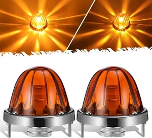 Partsam 2Pcs Amber Glass Lens Watermelon Lights LED Side Marker - Picture 1 of 6