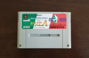 Super Formation Soccer 95 della Serie A (Super Famicom, SFC) *US-Verkäufer* gereinigt - Bild 1 von 3