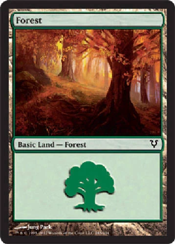 FOREST #243 X4 4 4X Avacyn Restored MTG Magic the Gathering Cards DJMagic - Image 1 of 1