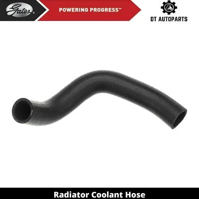 Для 2009-2010 Pontiac Vibe 2,4 л L4 газовый радиатор шланг охлаждающей жидкости нижние ворота - Изображение 1 из 4