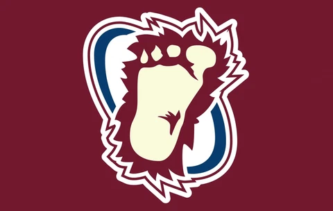 Colorado Avalanche Flag 3x5ft Banner Polyester Ice Hockey Stanley Cup 011 Cover
