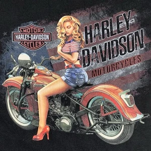 Harley Davidsons Mens Medium Black Short Sleeve T Shirt Chopper Pinup Girl USA - Picture 1 of 10