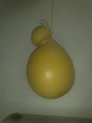  provola tipo casale dolce  formaggio  sicilia ( Sicilia  che gusto ) 250 G - Immagine 1 di 4