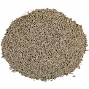 Earth Best Sathi Jadd Powder - Punarva - Punarnava - Boerhavia Diffusa 100 Grams - Picture 1 of 1