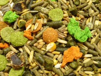 Witte Molen Zwergkaninchenfutter 20kg Alleinfutter für (Zwerg-)Kaninchen u Nager - Bild 1 von 2