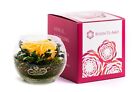 Rosen-Te-Amo® Blumenstrauß Duftende Konservierte Ewig Rosen in Glas Geschenk Box