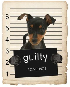 Pinza miniatura Mugshot Bad Dog Refrigerador refrigerador Car Magnet - Imagen 1 de 6