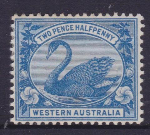 WESTERN AUSTRALIA 1901 2 1/2d Blue SWAN  MINT/MH SG 114  (NG40) Cover