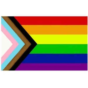 Regenbogen + Trans* Flagge 90*150cm Redesign Daniel Quasar LGBT PRIDE Inklusion - Bild 1 von 1