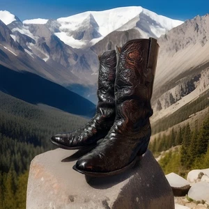 Lucchese handgefertigte schwarze Straußen-Cowboystiefel mit durchgehendem Federkiel für Herren Größe 10 - Bild 1 von 11