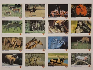 1977 ANIMALS Of Busch Gardens Tampa FL Colonial Bread JUEGO COMPLETO DE CARTAS 16 casi nuevo/como nuevo - Imagen 1 de 4