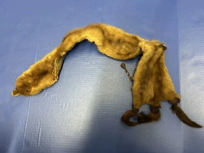 Vintage 1940s  Pelt Mink Stole Beautiful - Image 1 of 4
