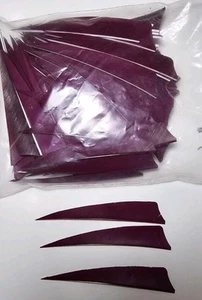 Gateway Shield Cut Feathers Wine Red 4" Left Wing  100 Pack - Picture 1 of 2