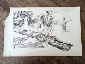 1900 "The Sagacious Woodcock" Charles Gibson Mädchen 2-seitiger Druck 17" x 11" - Bild 1 von 7