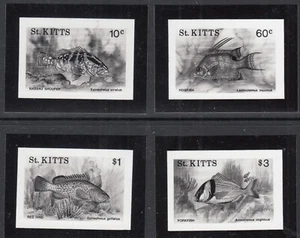St Kitts: Fish, Printer's Black & White Photos, 1991 - Picture 1 of 1