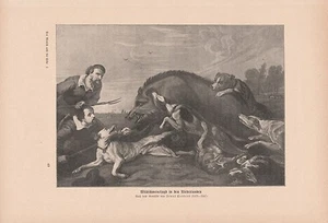 Wildschweinjagd in den Niederlanden Saujagd DRUCK von 1906 Keiler Wildschwein - Bild 1 von 1