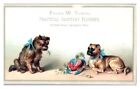 Frank W. Tower Plumber, Dogs w/ Bird, Springfield, MA Victorian Trade Card