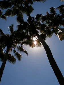 Olympus C-7000 7.1MP CCD Digital Camera *Works Great* - Picture 1 of 21