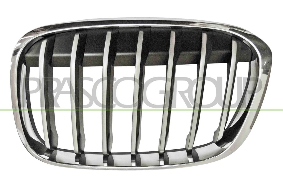 Rejilla De Radiador BM7062014 PRASCO Para BMW - Imagen 1 de 1