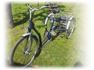 Dreirad Pfau-Tec-Classic - Bild 1 von 1