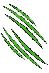 Adhesivo garras verde 300 x 200 mm - Imagen 1 de 1