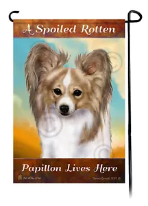 A Spoiled Rotten Lemon and White Papillon Lives Here - Picture 1 of 1