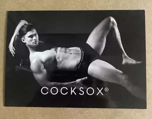Pablo Teijeiro X Cocksox Promo Mailer Card Underwear Male Model By Pedro Virgil - Picture 1 of 2
