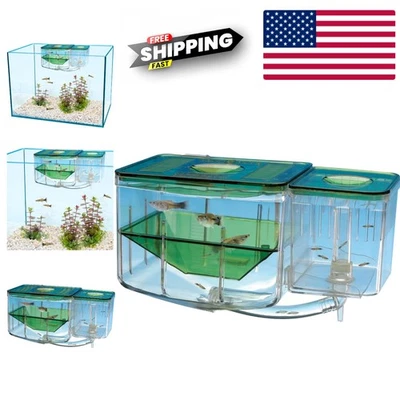 Caja de cría de cría de peces de acuario con circulación automática y tapa extraíble Foto 1 de 4