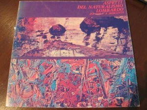 ASPEKTE DES LOMBARDISCHEN NATURALISMUS VON GOLA A MORLOTTI 1975 - Bild 1 von 1