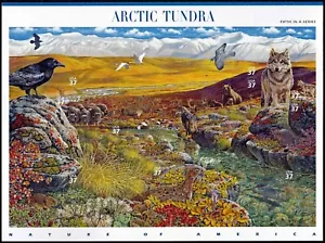 10 ARKTISCHER TUNDRA Briefmarken von John D Dawson: Alaska Berge Ausläufer Wolf Rabe - Bild 1 von 2