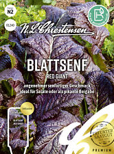 Musztarda liściowa 'Red Giant' - Brassica juncea, Sałatka azjatycka, nasiona, 01240