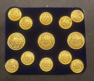 Master Golfer Golf Blazer Replacement Buttons - Set of 13 - Picture 1 of 6