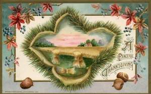 John Winsch 1912 A Peaceful Thanksgiving Acorns Nuts Vintage Postcard - Picture 1 of 2